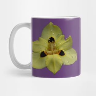 Yellow Pansy Mug